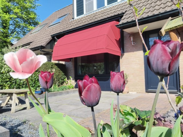 Rode markies bij een woning in Bennekom