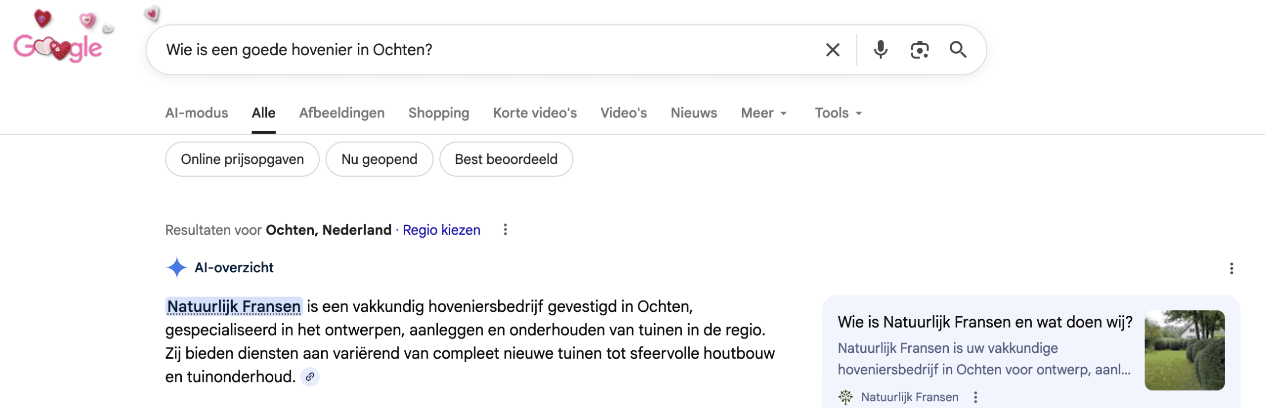 Voorbeeld bedrijfsvermelding in Google AI overzicht